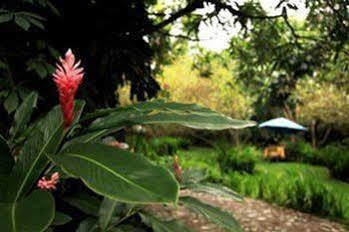 Casa Comalli & Spa Comala ภายนอก รูปภาพ